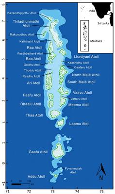 Sublethal Injuries and Physical Abnormalities in Maldives Manta Rays, Mobula alfredi and Mobula birostris